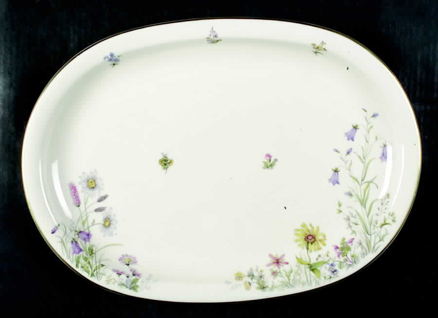 Meadow Flowers 15" Oval Serving Platter by Franconia-Krautheim & Adelburg-1