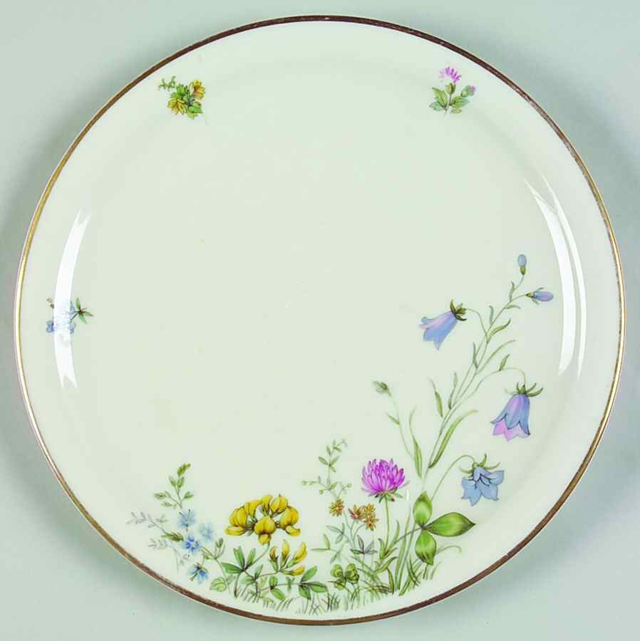 Meadow Flowers Luncheon Plate by Franconia-Krautheim & Adelburg-1