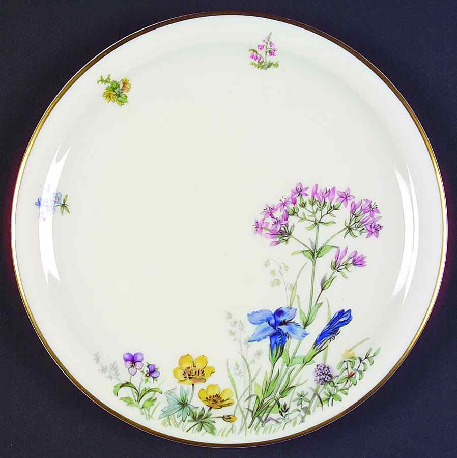 Meadow Flowers Luncheon Plate by Franconia-Krautheim & Adelburg-1
