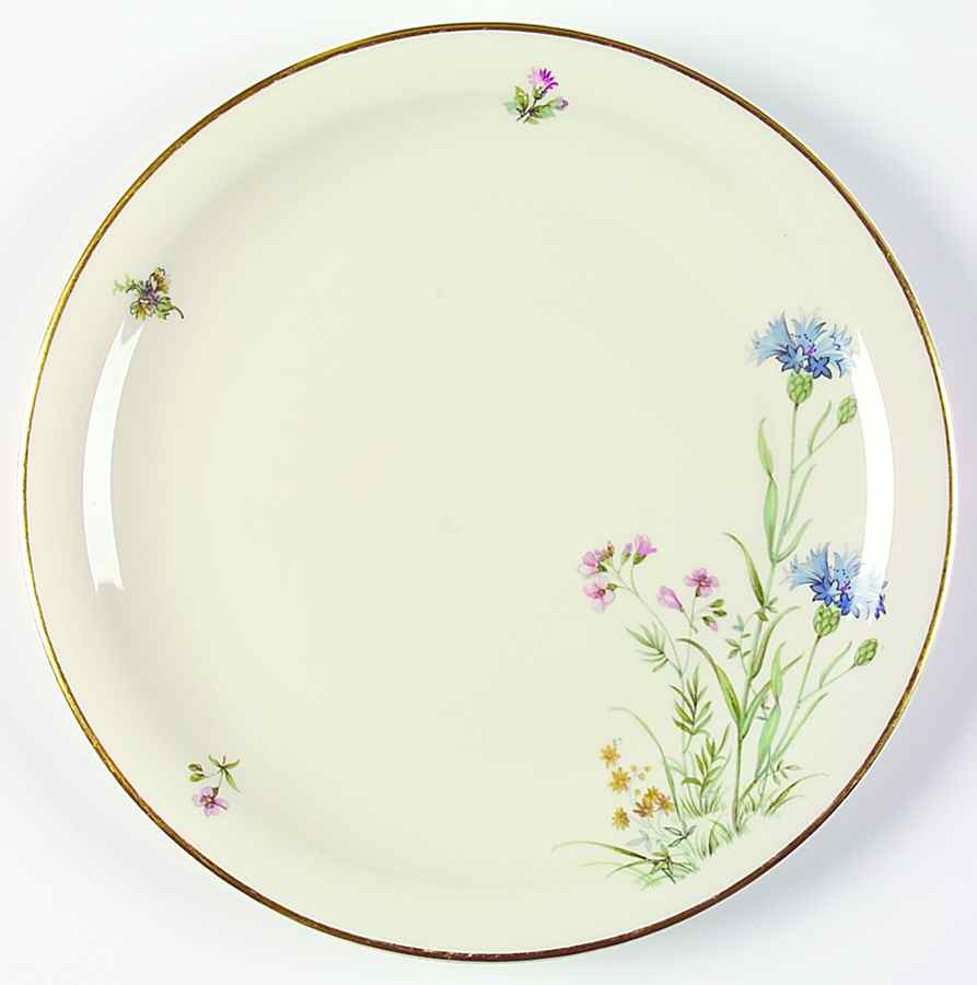 Meadow Flowers Large Dinner Plate by Franconia-Krautheim & Adelburg-1