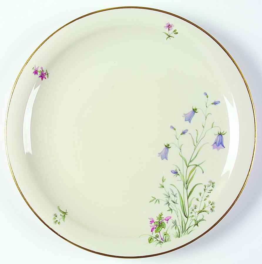 Meadow Flowers Large Dinner Plate by Franconia-Krautheim & Adelburg-1