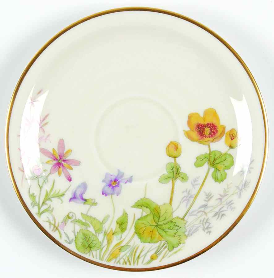 Meadow Flowers Saucer for Footed Demitasse Cup by Franconia-Krautheim & Adelburg-1