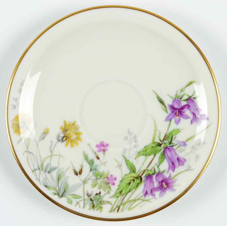 Meadow Flowers Saucer for Footed Demitasse Cup by Franconia-Krautheim & Adelburg-1