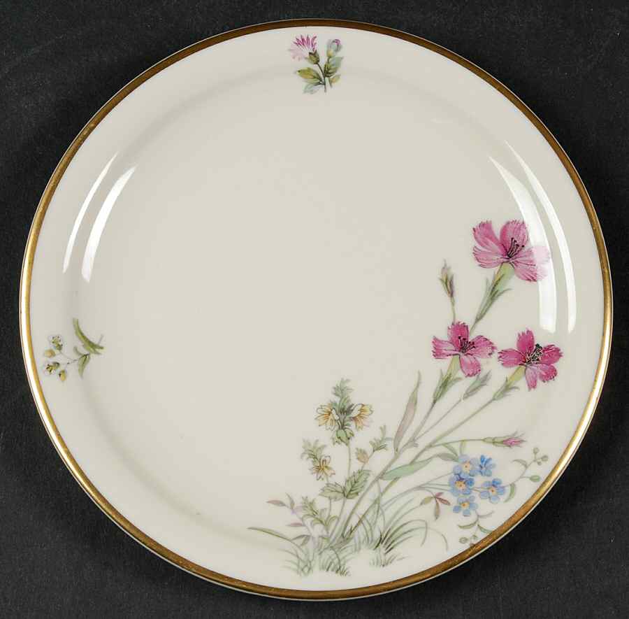 Meadow Flowers Bread & Butter Plate by Franconia-Krautheim & Adelburg-1