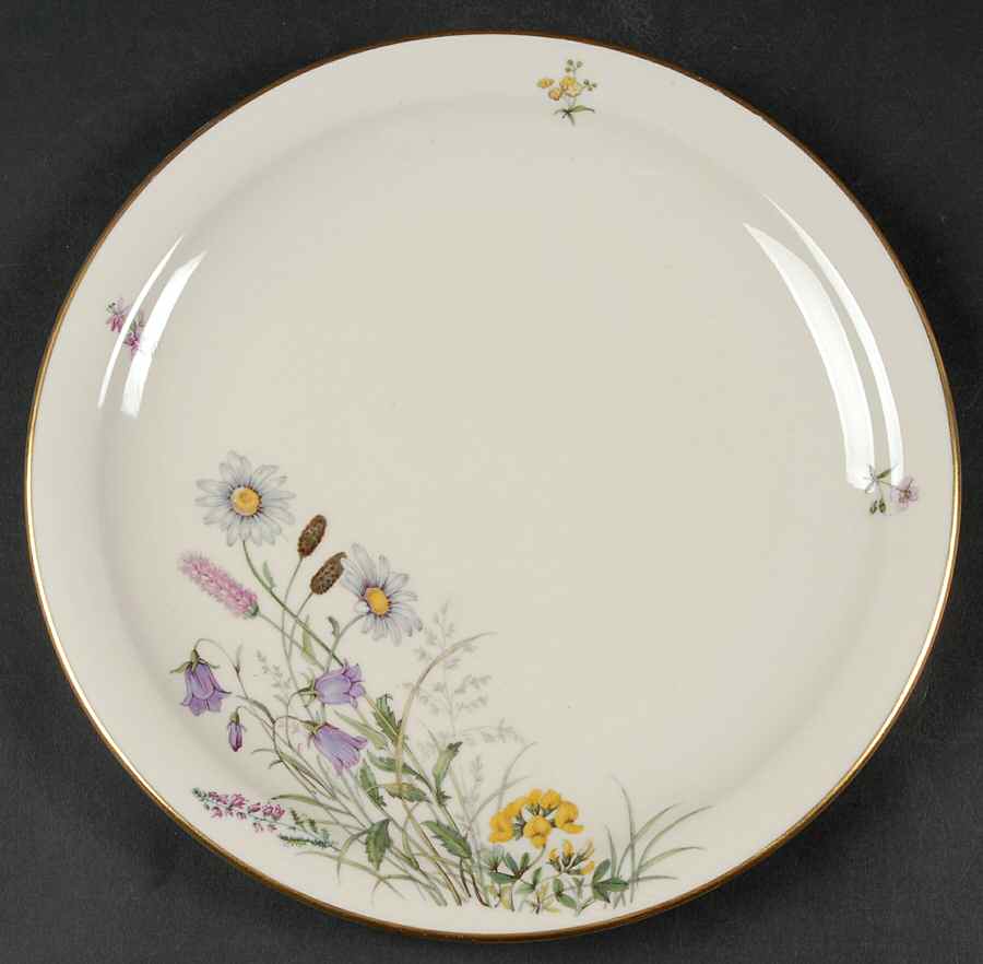 Meadow Flowers Large Dinner Plate by Franconia-Krautheim & Adelburg-1