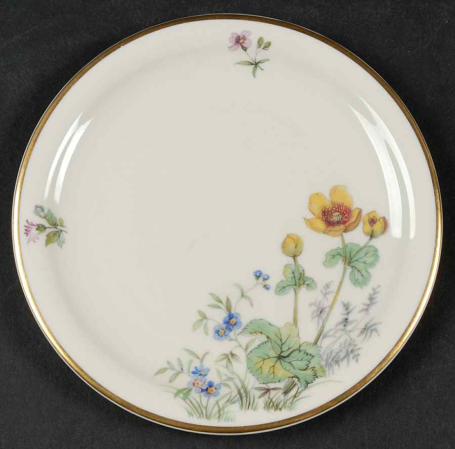 Meadow Flowers Bread & Butter Plate by Franconia-Krautheim & Adelburg-1
