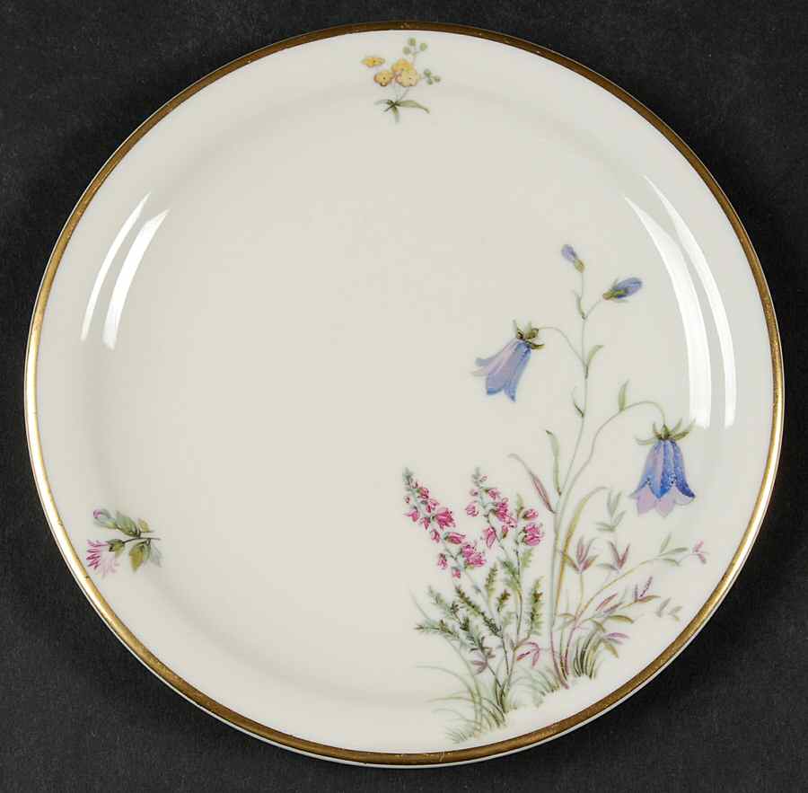 Meadow Flowers Bread & Butter Plate by Franconia-Krautheim & Adelburg-1