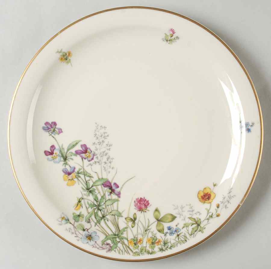 Meadow Flowers Dinner Plate by Franconia-Krautheim & Adelburg-1