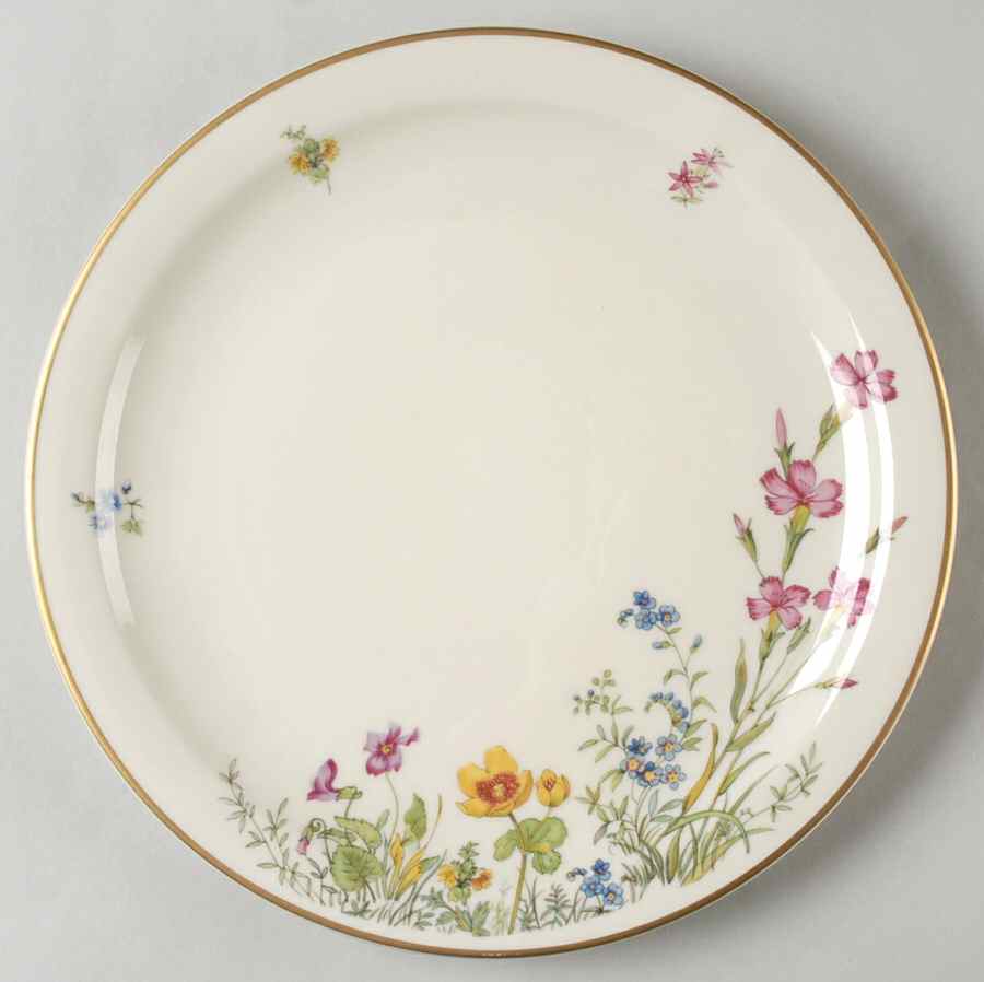 Meadow Flowers Dinner Plate by Franconia-Krautheim & Adelburg-1