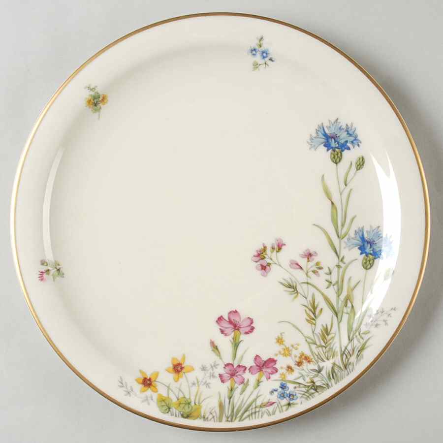 Meadow Flowers Dinner Plate by Franconia-Krautheim & Adelburg-1