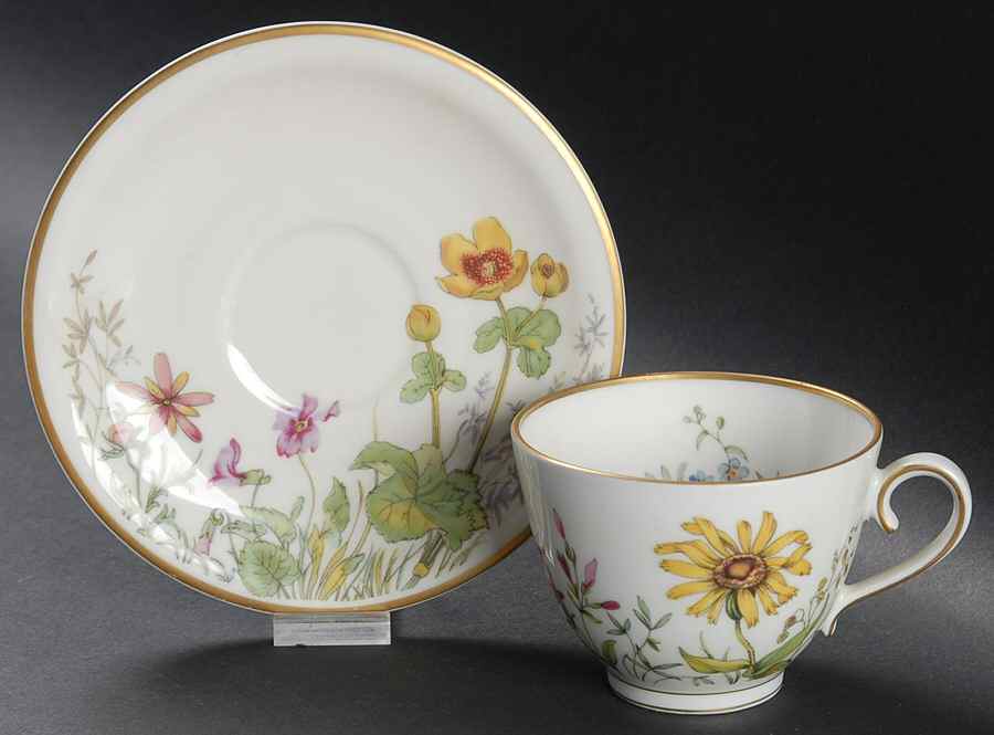 Meadow Flowers Flat Cup & Saucer Set by Franconia-Krautheim & Adelburg-1