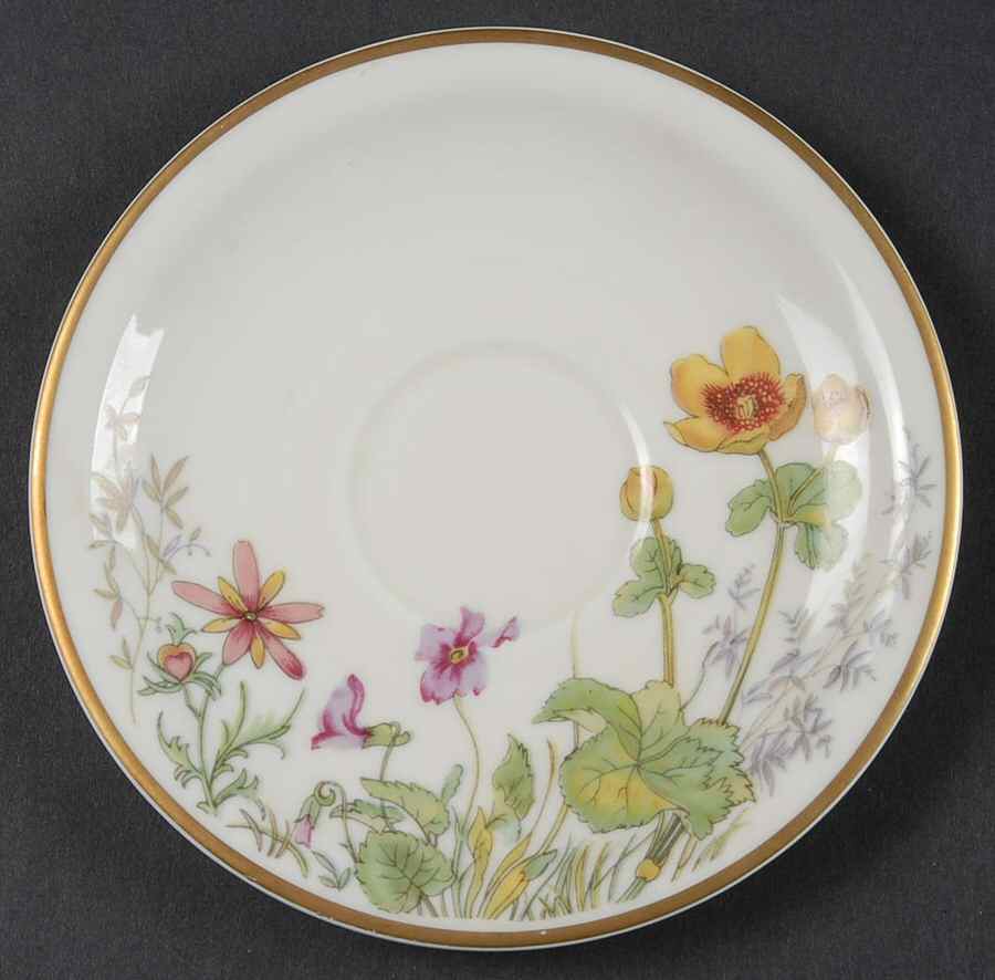 Meadow Flowers Saucer for Flat Cup by Franconia-Krautheim & Adelburg-1