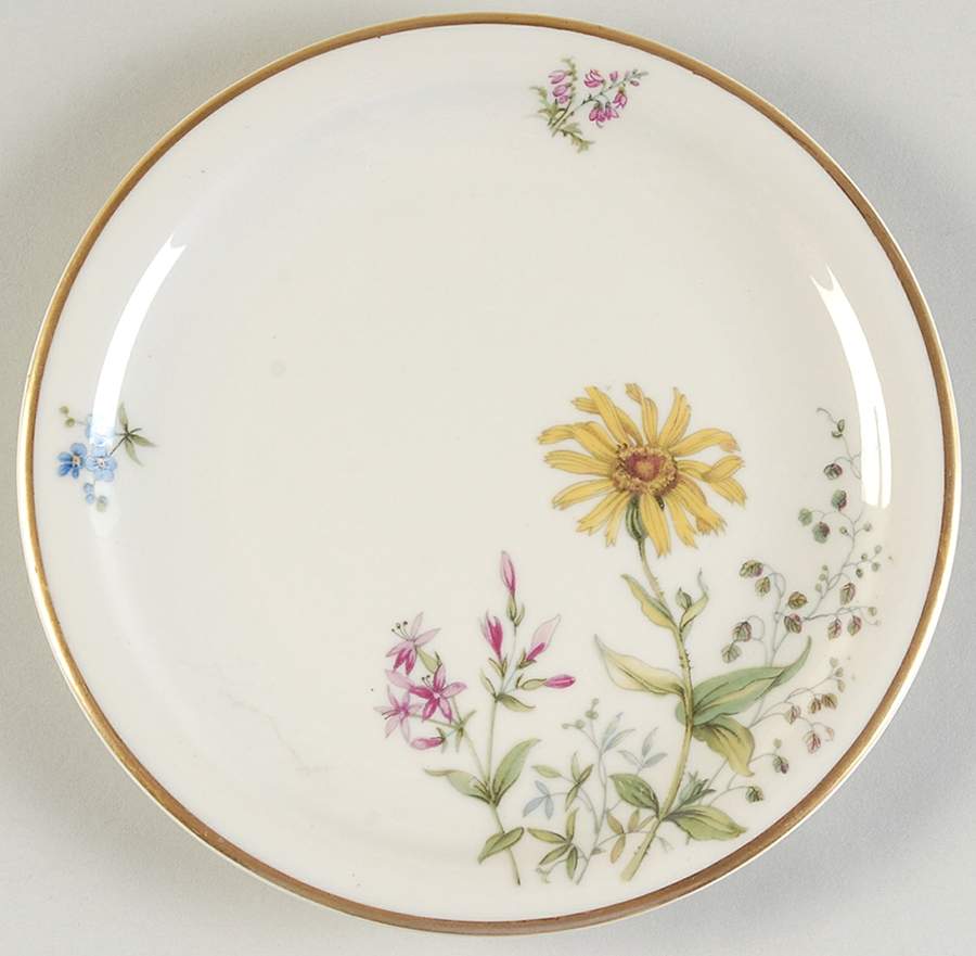Meadow Flowers Bread & Butter Plate by Franconia-Krautheim & Adelburg-1