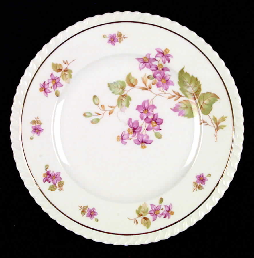 Rosetta Dinner Plate by Franconia-Krautheim & Adelburg-1