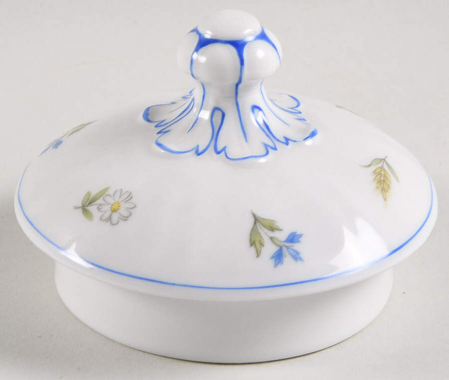Virginia Lid for Teapot by Franconia-Krautheim & Adelburg-1