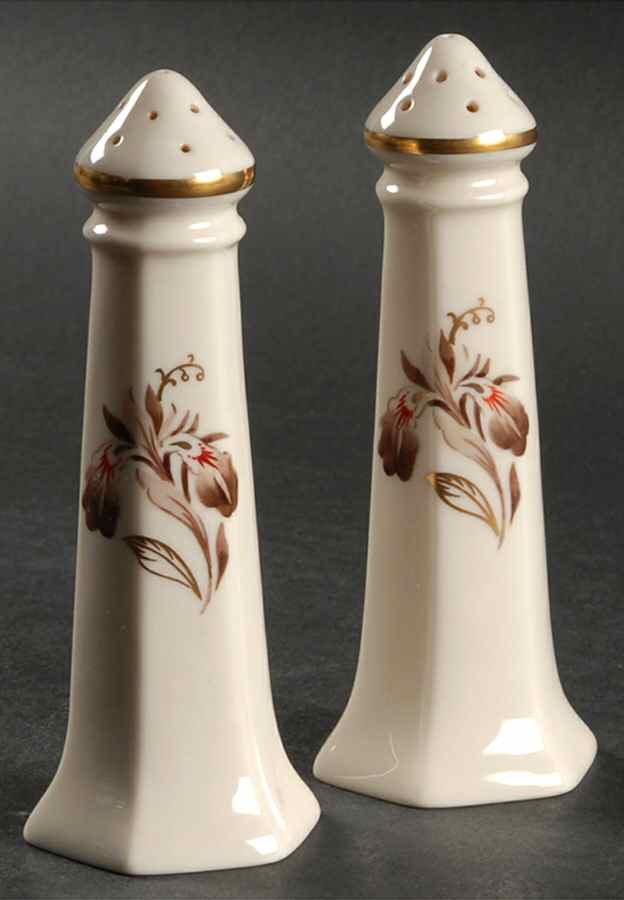 Brown Iris Salt & Pepper Set by Lunning, Frederik-1