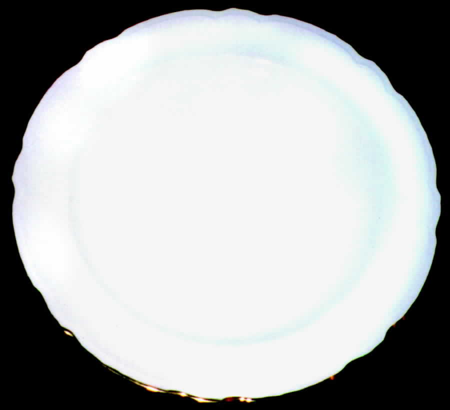 FSX12 Dinner Plate by French Saxon-1