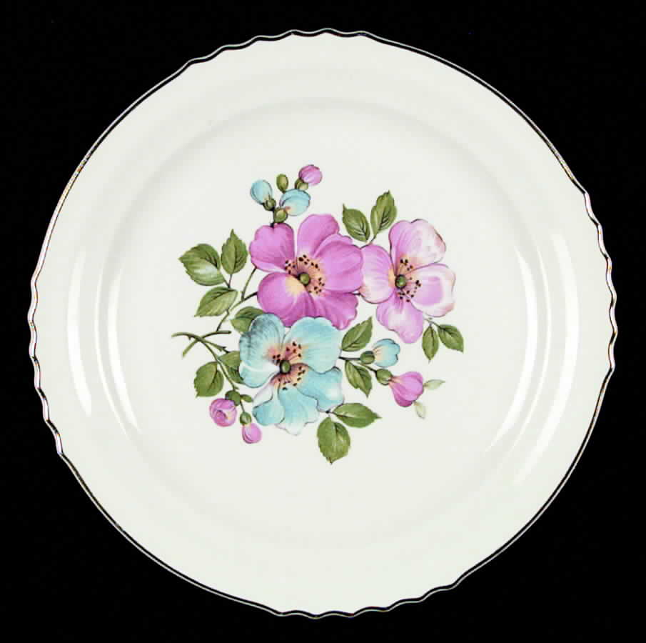FSX13 Salad Plate by French Saxon-1