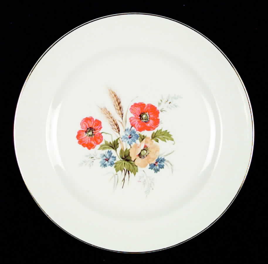 FSX14 Dinner Plate by French Saxon-1