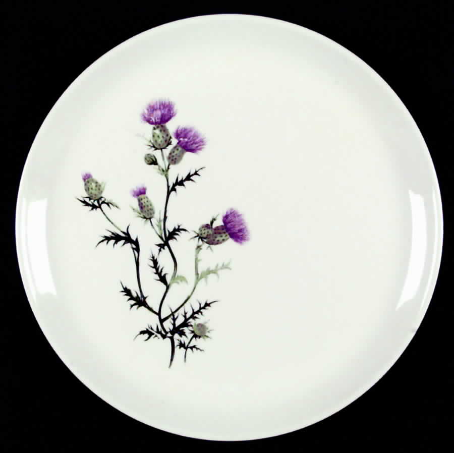 Thistle (No Gold Border) Luncheon Plate by French Saxon-1
