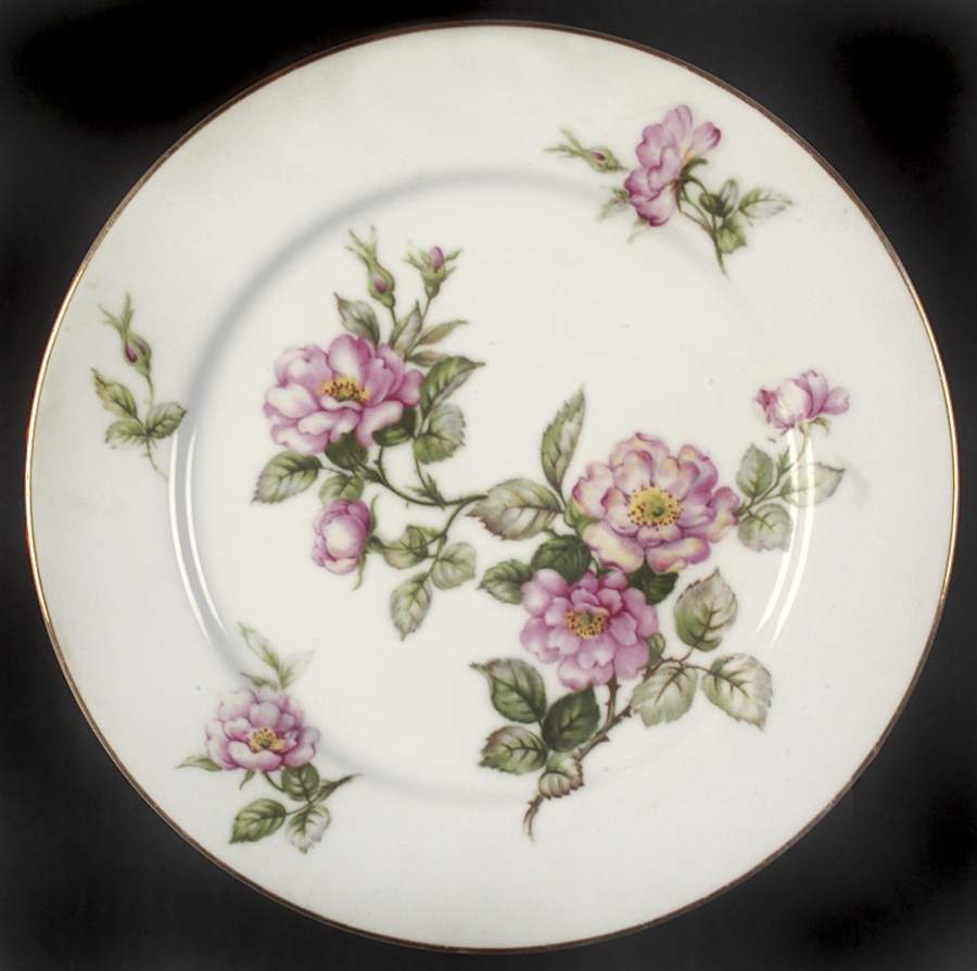 Minuet Dinner Plate by Fuji-1