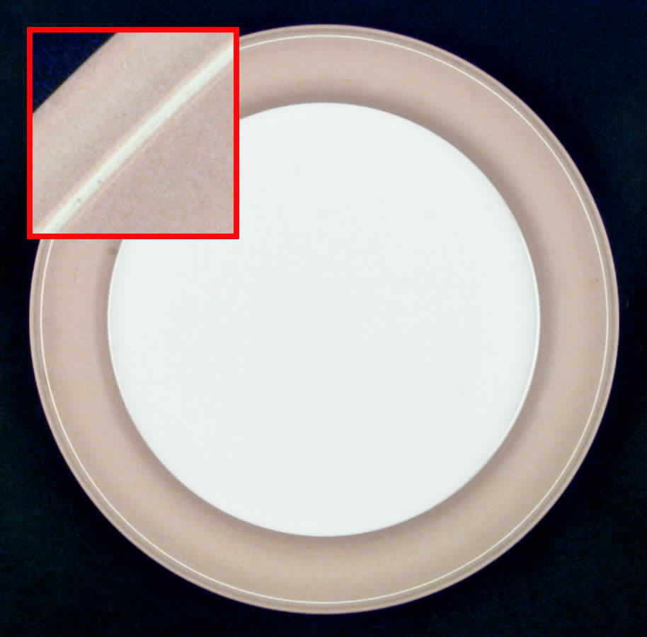 Villa Grande Camel Dinner Plate by Fuji-1