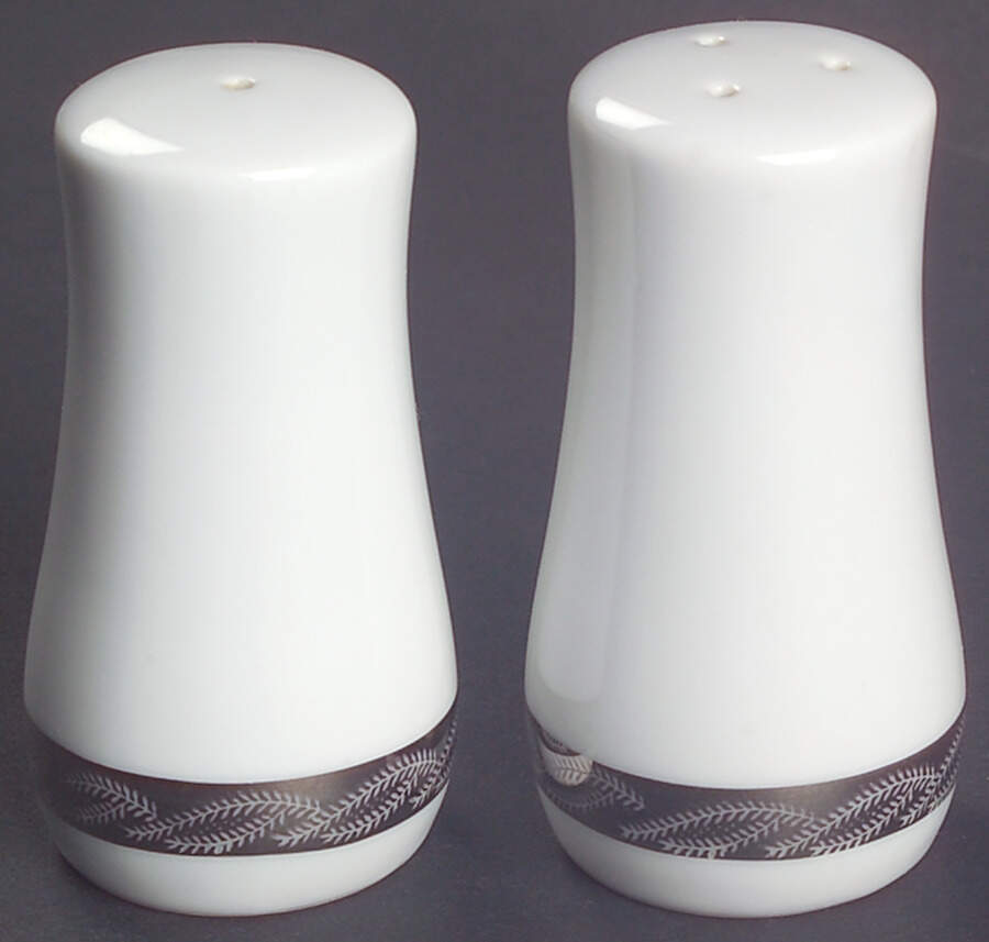 Silver Lichen Salt & Pepper Set by Fukagawa-1