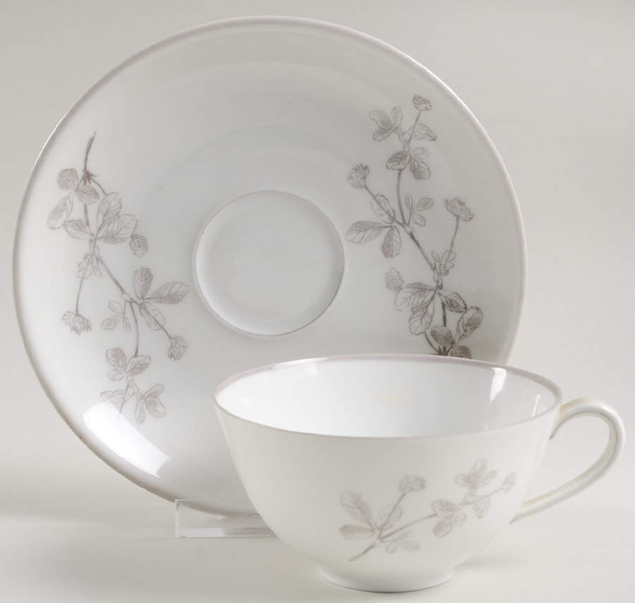 Wildflowers (Oldbrunswick) Flat Cup & Saucer Set by Furstenberg-1