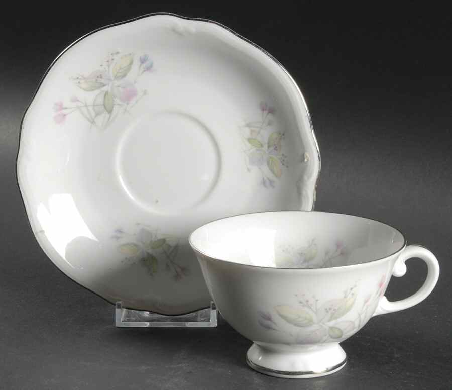 Wildflower (E & R Importers) Footed Cup & Saucer Set by Furstenberg-1