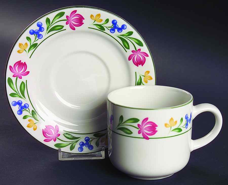 Dorchester Flat Cup & Saucer Set by Farberware-1