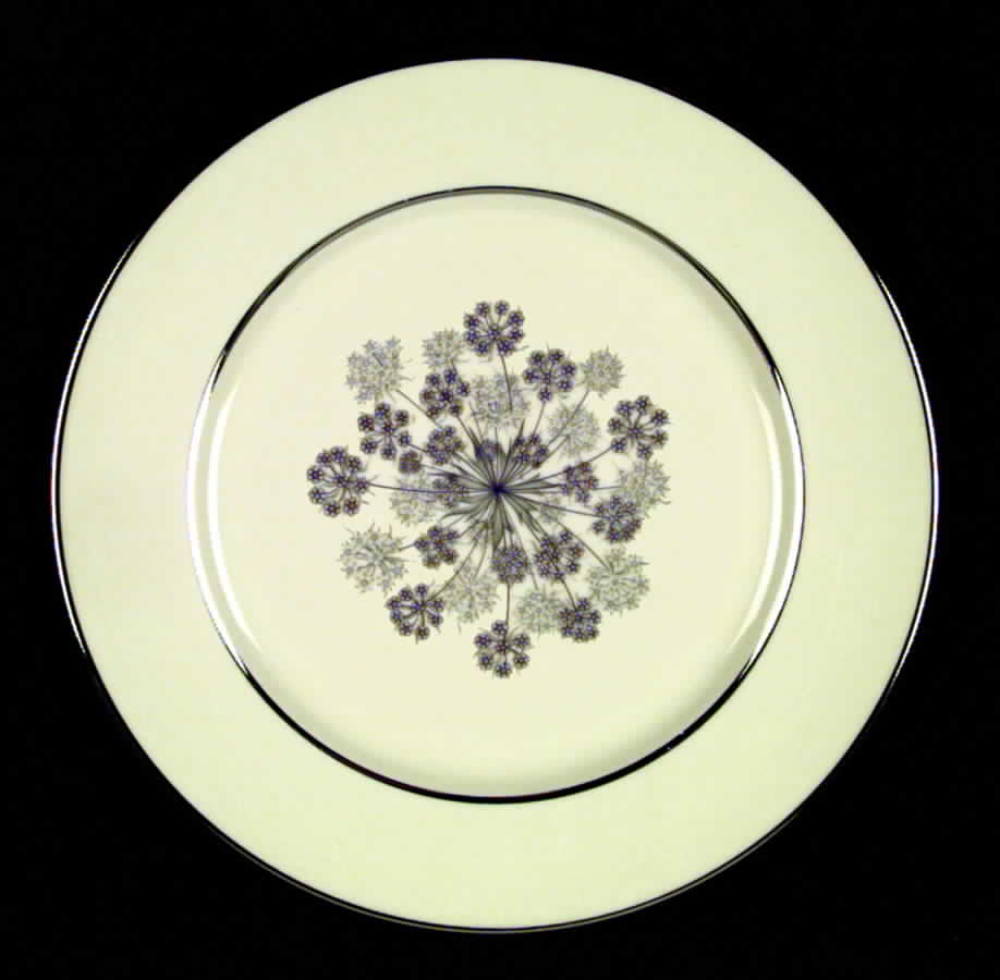 Silver Shadows (Rim & Coupe) Dinner Plate by Flintridge-1