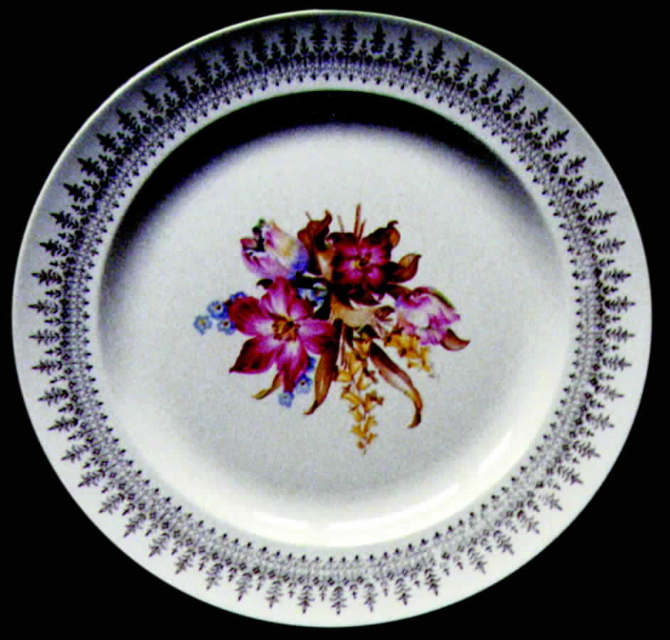 FSX24 Dinner Plate by French Saxon-1