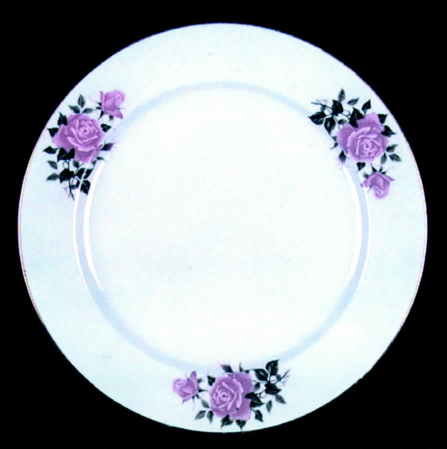 CX941 Dinner Plate by China (Made in China)-1