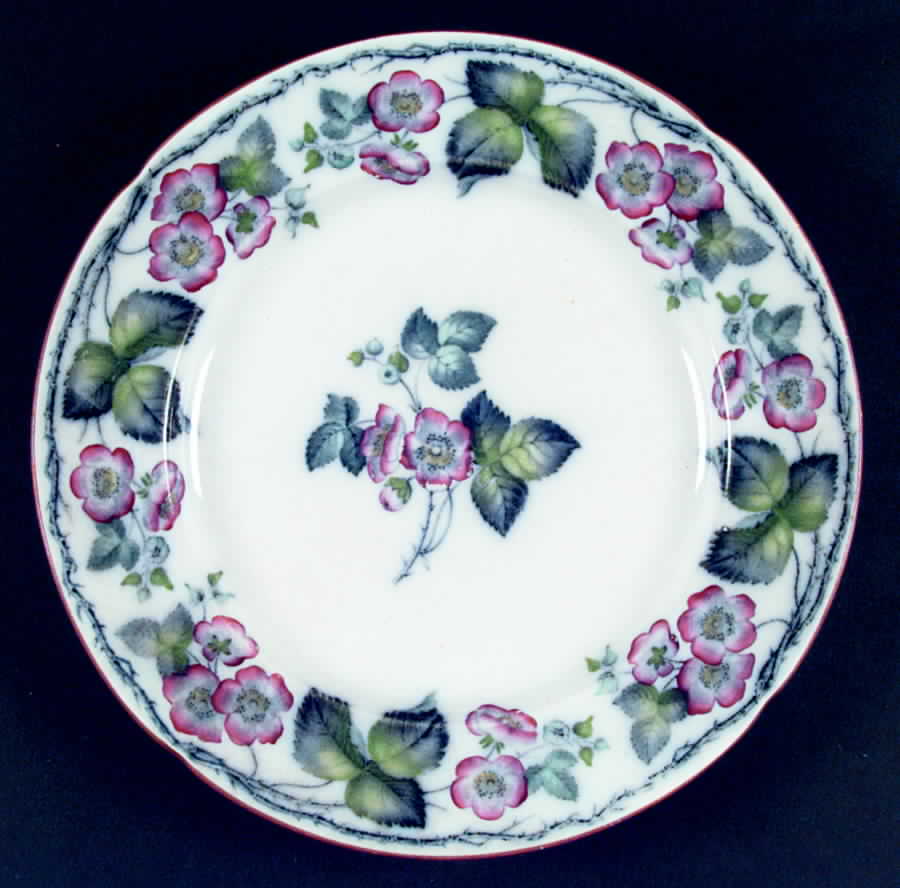 Blossom Dinner Plate by Francis Morley-1