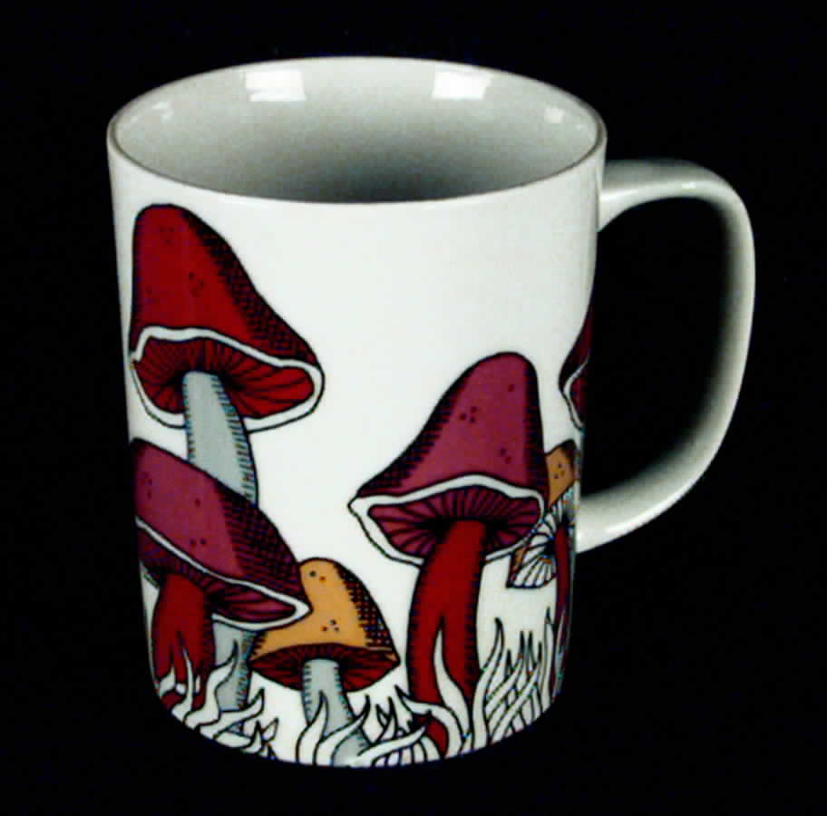 Variations (Mushrooms) Mug by Fitz & Floyd-1