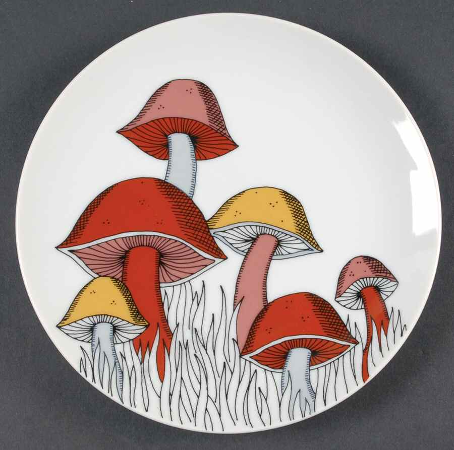 Variations (Mushrooms) Salad Plate by Fitz & Floyd-1