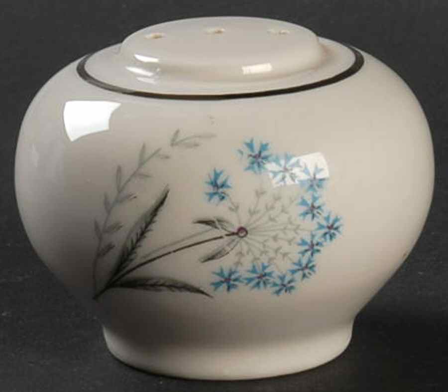 FLE5 (Left Side Decal) Salt Shaker by Fleetwood-1