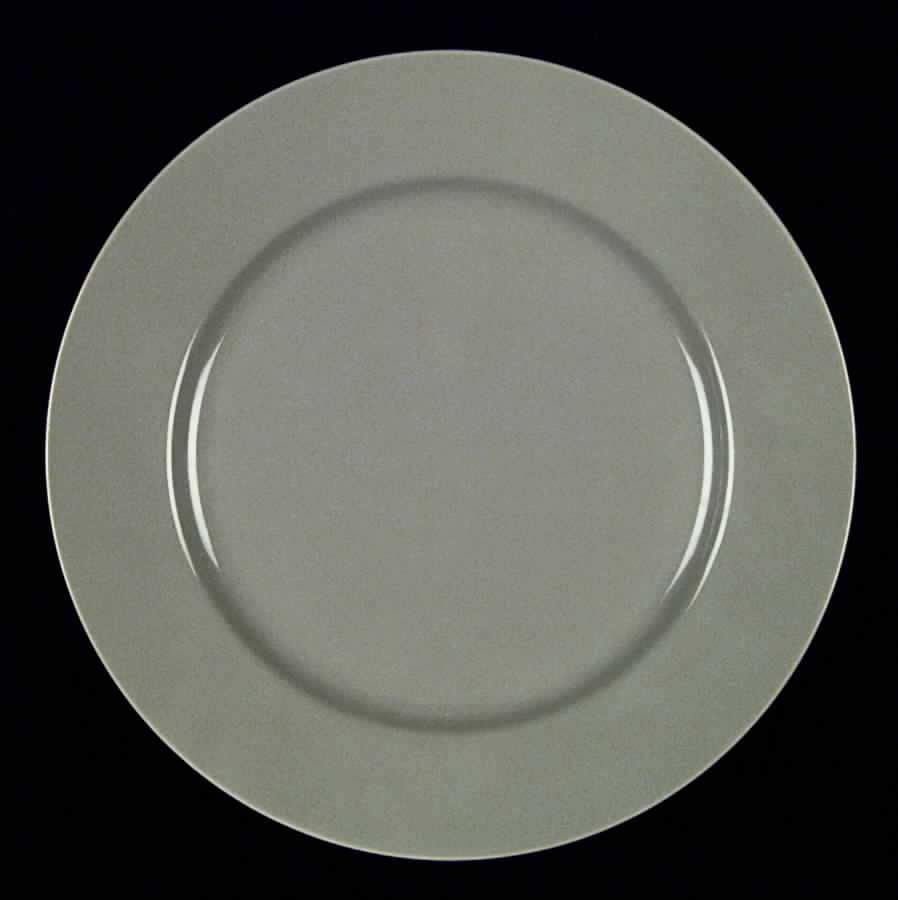 Total Color Spectrum Greige-Beige (Gray, Round) Dinner Plate by Fitz & Floyd-1