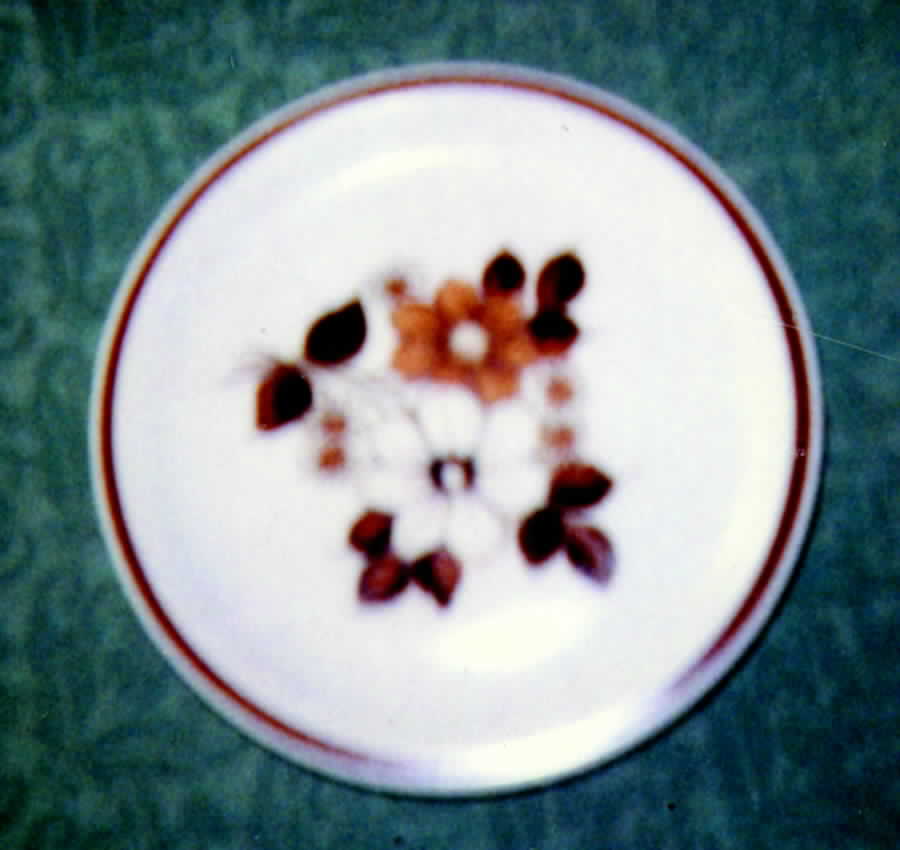 Margarita Luncheon Plate by Fuji-1