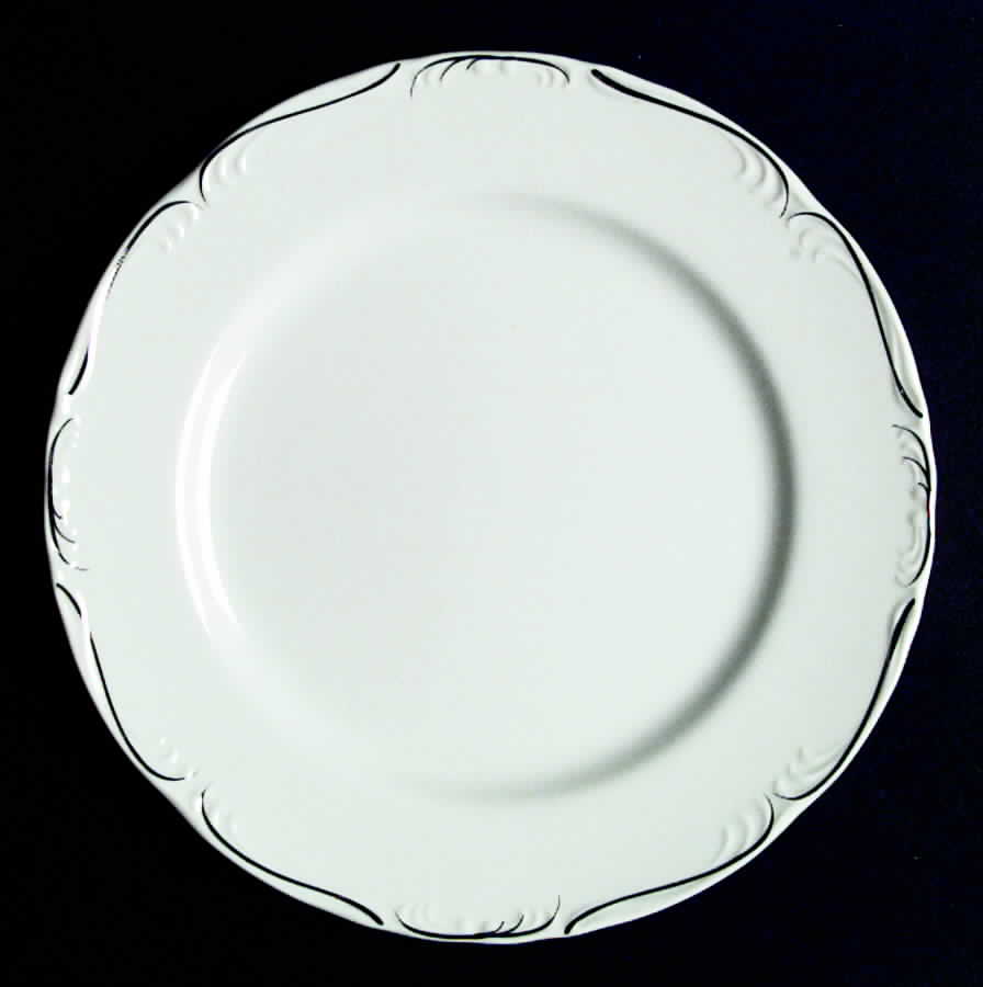 Simplicity Dinner Plate by United Surgical Steel-1
