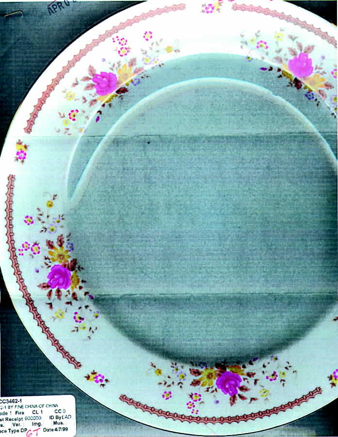 3462-1 Dinner Plate by China (Made in China)-1