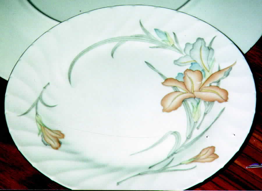 UP124 Dinner Plate by Universal Porcelain Company-1