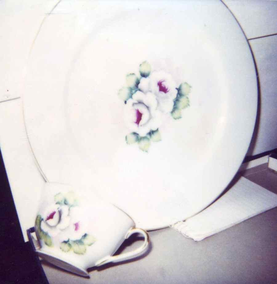 FUJ6 Dinner Plate by Fuji-1