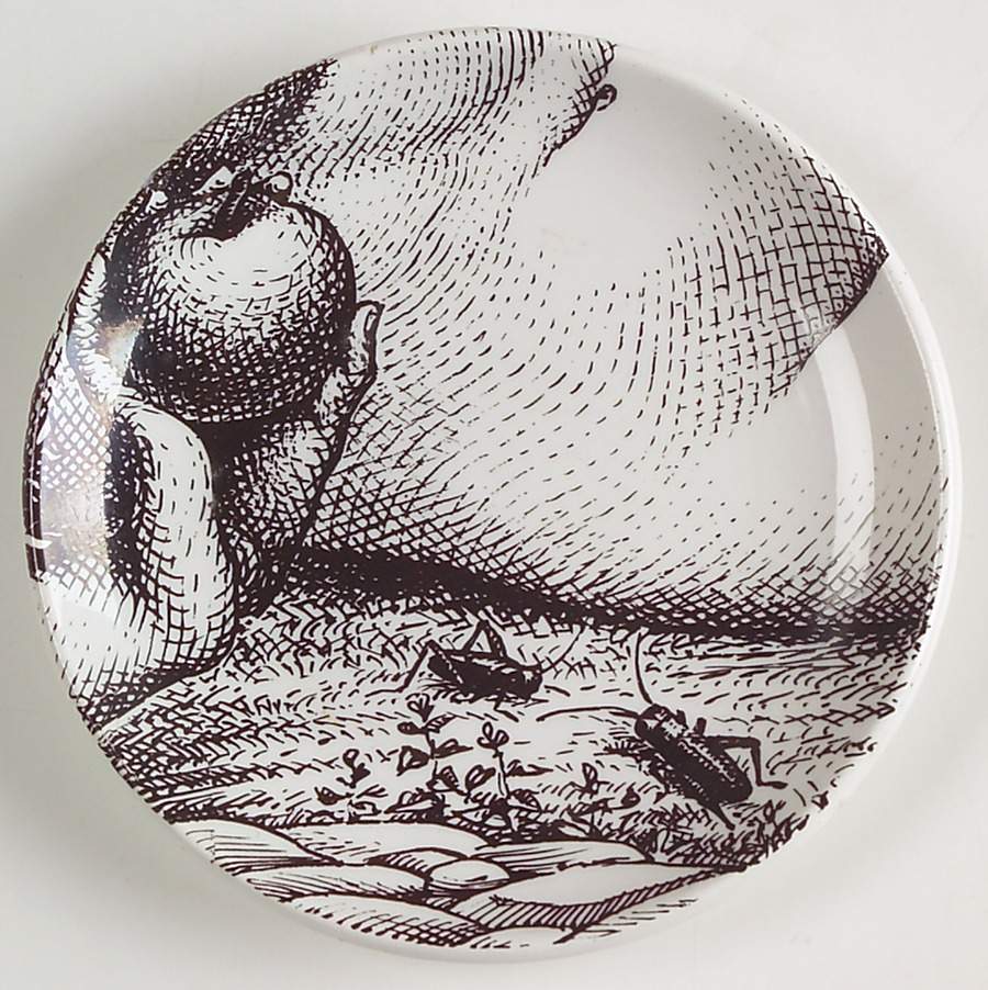 Eva Coaster by Piero Fornasetti-1
