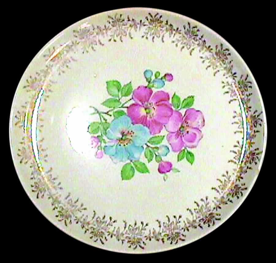 FSX33 Dinner Plate by French Saxon-1
