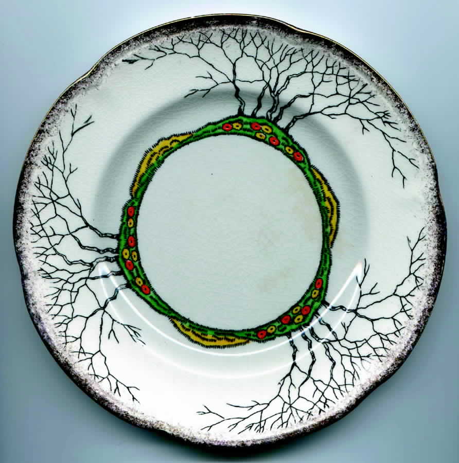 Glenwood Salad Plate by S Fieldings & Co.-1