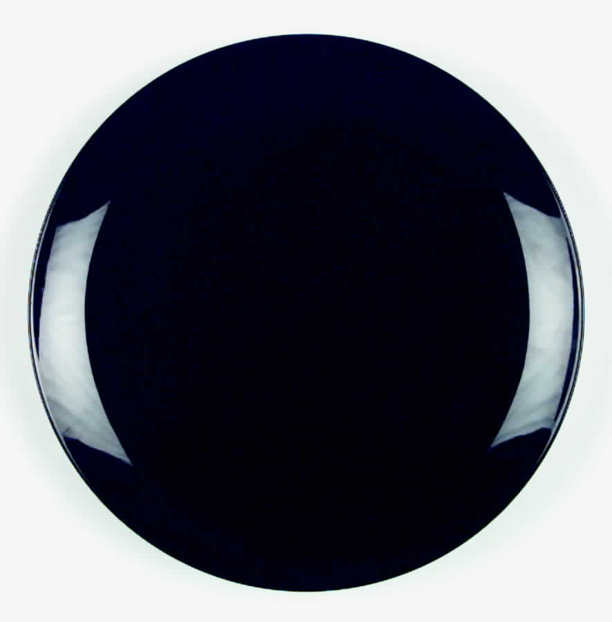 Teak (No Trim) Dinner Plate by Franciscan-1