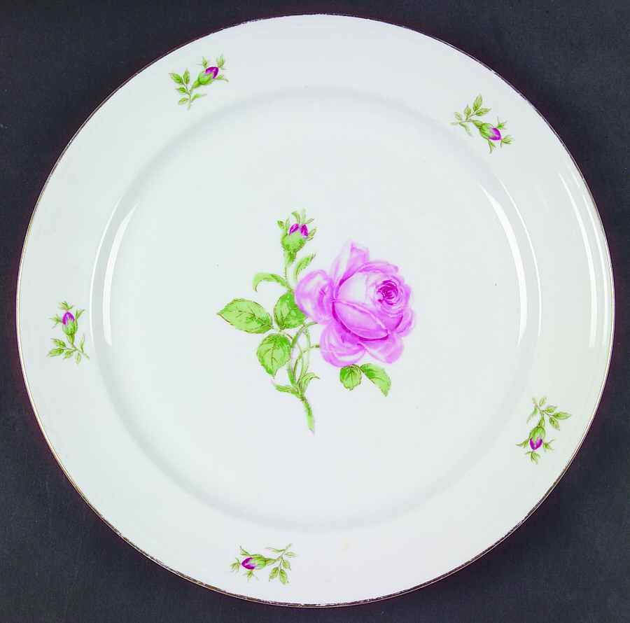 02171 Dinner Plate by Furstenberg-1