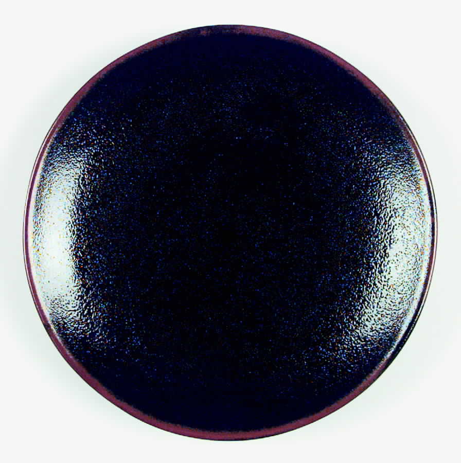 FIT22 Dinner Plate by Fitz & Floyd-1