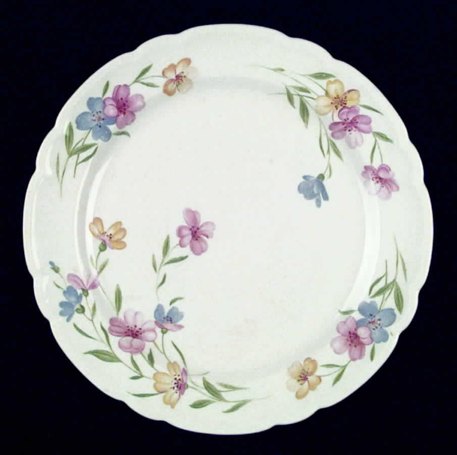 Cosmos Dinner Plate by French Saxon-1